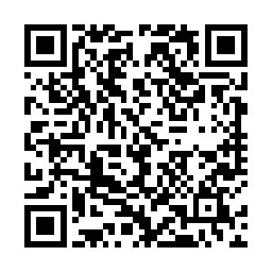 但精锐和精锐之间的CQB战斗一定会快速开始再快速结束二维码生成