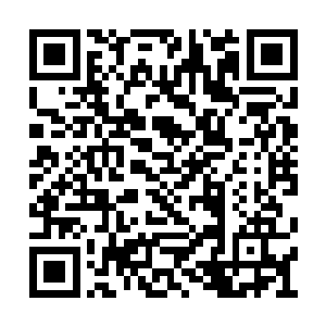 但系统会捏造出另一份他身为普通人生活的经历二维码生成