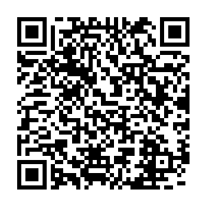 但素来更为冷静和聪明的周公瑾恐怕是不会愿意让孙伯符如此舍命相搏二维码生成