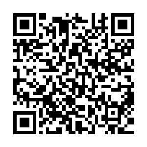 但紫薇大帝却一直认为楚旬是凭借外力和宝物才做到的这一点二维码生成