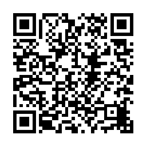 但红肿的眼眶和颤抖的身体不难看出他苦苦压抑的悲痛二维码生成