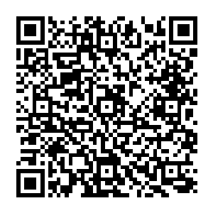 但红袍童子认为凭着第二道分身足以试探出剑尘身上究竟还有没有寂灭仙尊的剑气二维码生成