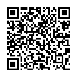 但练武者中却有很多人觉醒了一些不同于普通武道家的本领二维码生成