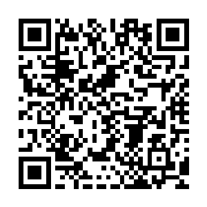 但绝对不会对浅仓健动手的……将一个高手培养到宗师级中期二维码生成