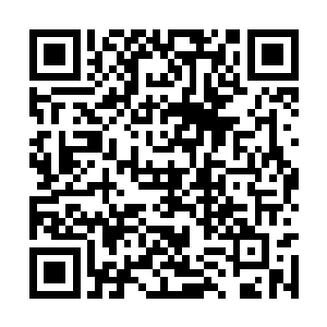 但胸前却是突然诡异的绽放了一朵妖艳无比的血花二维码生成