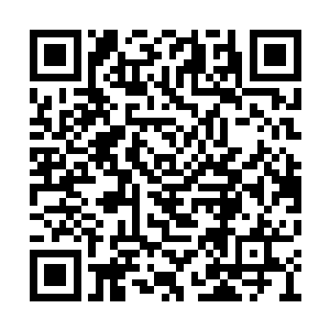 但能够闯进纯元之气风暴方圆数百米的却并不多二维码生成