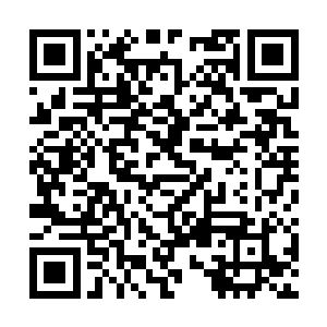 但能毕业拿到a级资格的猎人却每年只有三个名额二维码生成