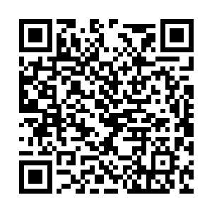 但自从看了那封信后的光昭帝却没有了丝毫的食欲二维码生成