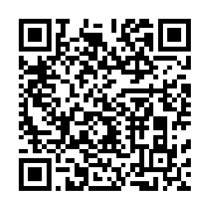 但自己和小胖顶多一个星期就会被秘密抓到科学研究室去了二维码生成