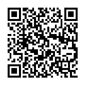 但若是哪来对付更高阶的阵法根本点作用都没用二维码生成