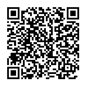 但藏在那个隐秘空间之中那四个黑色金属容器之中的的四条双头蠕虫二维码生成