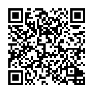 但被放逐的那位先祖确实是当初老祖最为疼爱的小儿子二维码生成