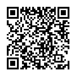 但见识过敖厉水性的薛元鹏嘴角却泛起一丝很微妙的苦笑二维码生成