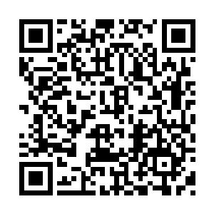 但让严默放弃这个伤患去治疗更容易救好的伤者二维码生成