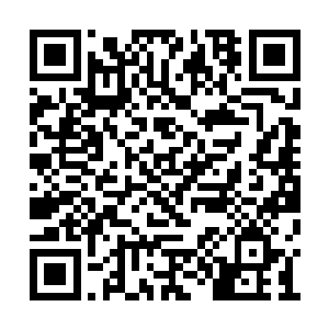 但谁让王世子这一开口就让他们感觉情况不对呢二维码生成