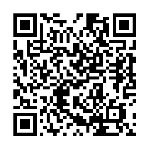 但越发成熟的位面为了自己的进化反过来影响元素之基二维码生成