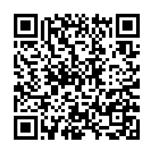 但足球规律又不可能那么快让一支球队重建完成……二维码生成