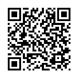 但身形却瞬息间就出现在鲲鸿身边二维码生成