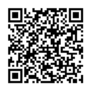 但车开近之后交警看清楚车牌之后都像哑了火似的二维码生成