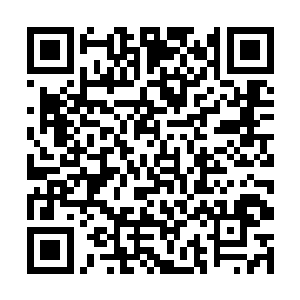 但还远远不足以真正的掌控驾驭妖王级别的幽冥生灵二维码生成