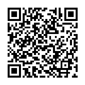 但这一次他不是炼制丹药而是亲自打造两座传送阵二维码生成