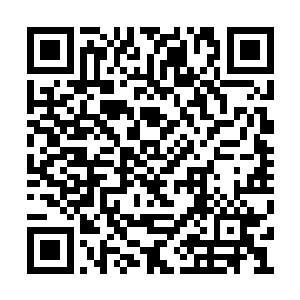 但这一次横跨美国的巡演让每个人都成长了许多二维码生成