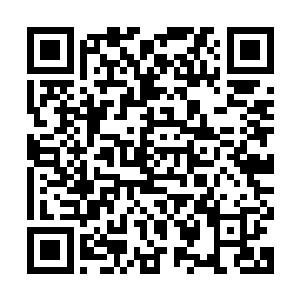 但这一身破破烂烂不知道从哪个村子里钻出来的少年人坐在这里二维码生成