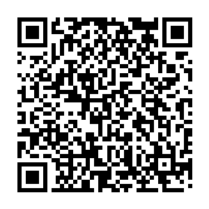 但这个国家这个民族几千年来传递下来已经深深烙刻在民族血液里的东西二维码生成