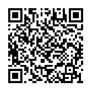 但这主要也是因为三大电影节不以美国电影为主二维码生成