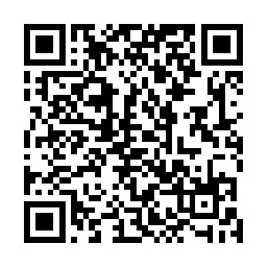 但这也使得他没办法更好的观察到电梯口上去和下来的人二维码生成