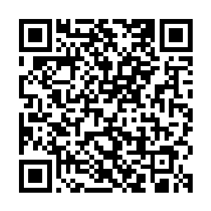 但这些东西对于目前已经是半只脚踏入到七重天层次的韩风来说二维码生成