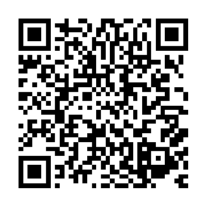 但这些东西的吸引力就算是一心向武的罗子强也忍不住好奇心二维码生成