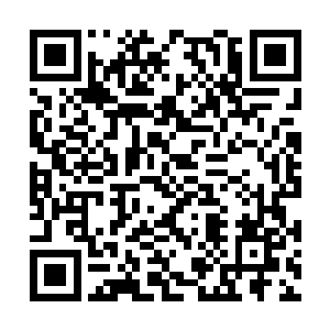 但这帮人有没有就方案中具体的那条那款提出质疑二维码生成