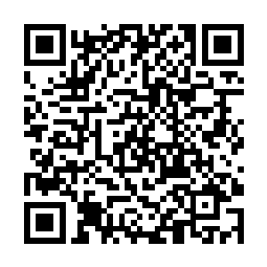 但这并不代表这片神秘的地方就没有天位级别的存在二维码生成