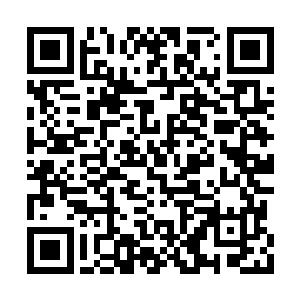 但这并不说说韩风就此和朱雀一族就该形同陌路二维码生成