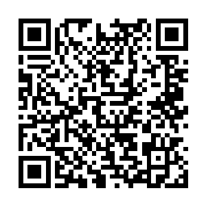 但这座城市的规模和复杂程度远远超出我们的想象二维码生成