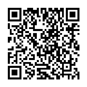 但这张绘制的惟妙惟肖的照片真的就是活生生的岳母大人二维码生成