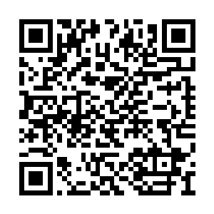 但这时锤子满脑子就只有一个念头・骷髅要靠他二维码生成