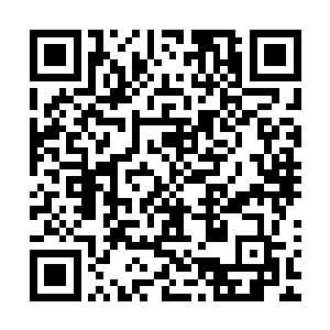 但这盆兰花欢喜哥却确信已经胜过了当初的天下第一素冠荷鼎二维码生成