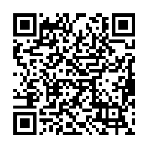 但这盲僧在来到大龙圈外后并没有第一时间冲进去二维码生成