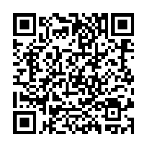但这眼神中的迷惘与感伤却出卖了她心中的真实情绪二维码生成