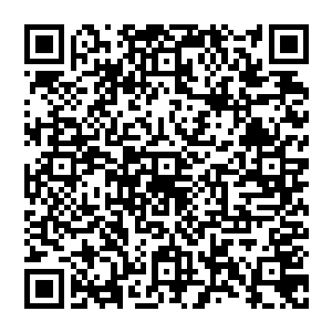 但这遥远的距离却丝毫无法影响到身居黑手党总部西西里岛首府巴勒莫的马里奥的命令传达和执行二维码生成