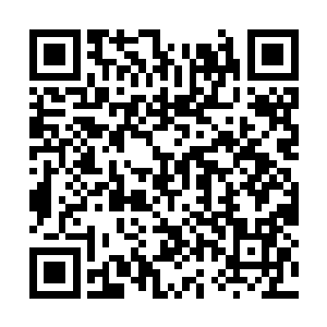 但这里藏着庚金紫钨矿脉这个消息迟早会泄漏出去二维码生成