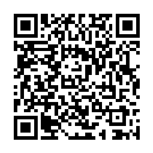 但进入了娃娃鱼嘴里的莫君越还是奋力的挣扎起来二维码生成