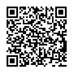 但选手间内的气氛并没有如同外界所猜想的那般激动以及兴奋二维码生成