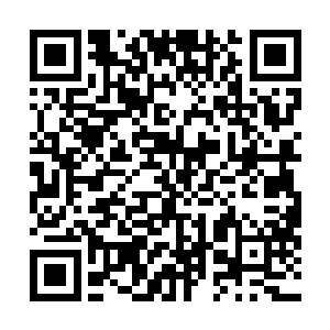 但那个人也绝对没有见过大帝级法相第一次出现时的天威二维码生成