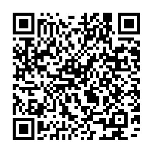 但那墨蝰藤根茎和藤茎之中产生出的汁液和用墨蝰藤枯藤研磨而成的粉末二维码生成