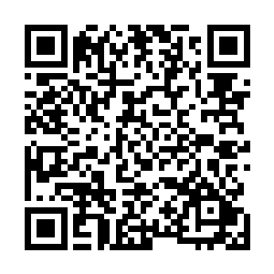 但那巨大的覆盖半张脸的蝴蝶印记却是破坏了整体的美感二维码生成