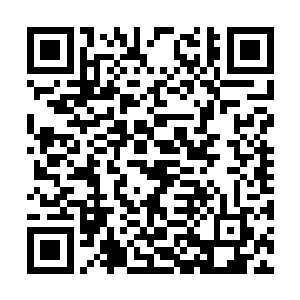 但那时候只是以为这是剑尘养的一只魔兽幼崽而已二维码生成