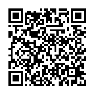 但那晚和克里斯托弗的对话也给了珍妮一些启发二维码生成